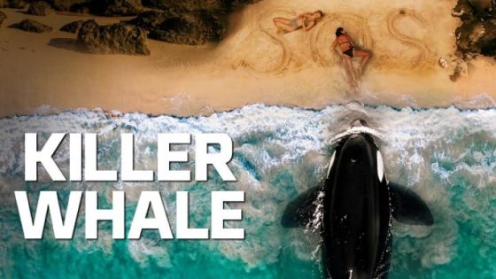 مشاهده تحميل فيلم Killer Whale 2026 مترجم